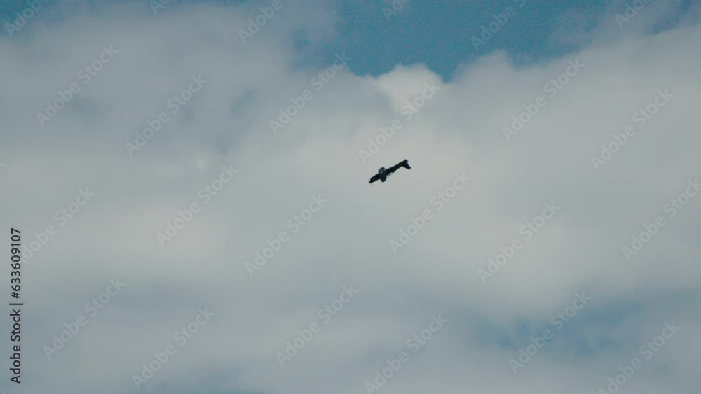 Slow motion shot of a Patrouille de France aircraft nose-diving at the Palavas les flot show Slow motion shot of a Patrouille de France aircraft nose-diving at the Palavas les flot show