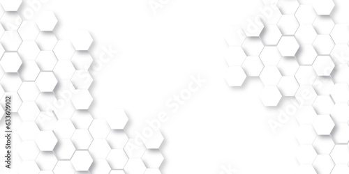 Background with hexagons . Abstract background with lines . white texture background . white and hexagon abstract background. white paper texture and futuristic business .