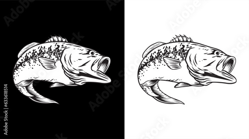 Bass fish vector art