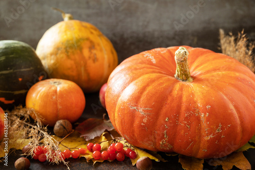 Autumn Day Thanksgiving or Halloween background. Festive autumn decor from ripe pumpkins  berries and leaves on a wooden background.