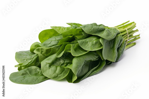 Fresh Spinach Leaves on White Background