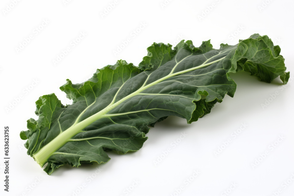 Vibrant Kale Leaf Isolated on White Background Vibrant Kale Leaf Isolated on White Background