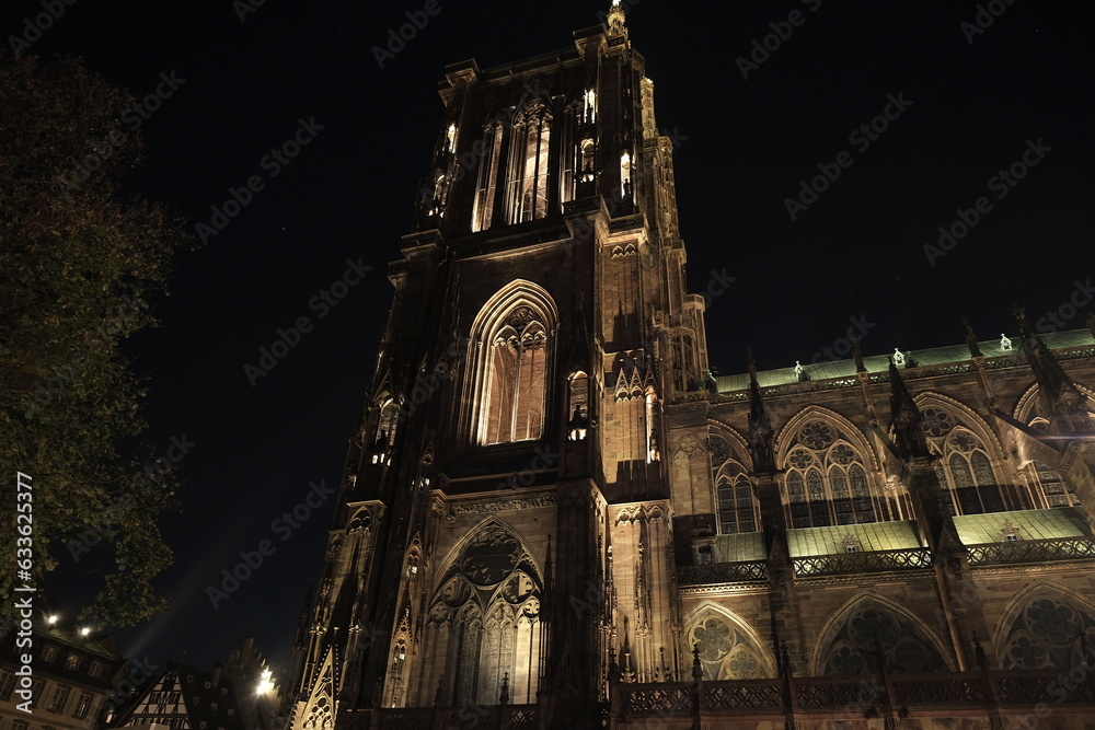 View by night of the gothic cathedral of Notre Dame de Strasbourg.