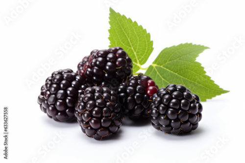 Fresh and Juicy Blackberry on a Clean White Background