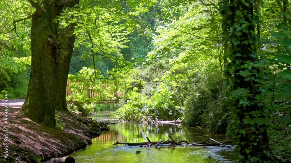 A UK country park's. People relish a winding stream, charming picnic spots. Wooded attraction: Hubbard's Hills, near Louth, Lincolnshire. A UK country park's. People relish a winding stream, charming picnic spots. Wooded attraction: Hubbard's Hills, near Louth, Lincolnshire.