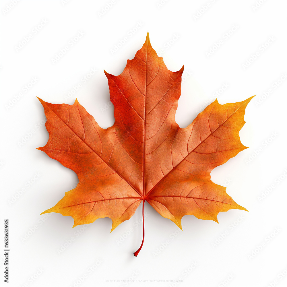 autumn maple leaf, Maple leaf on a white background, AI generator autumn maple leaf, Maple leaf on a white background, AI generator