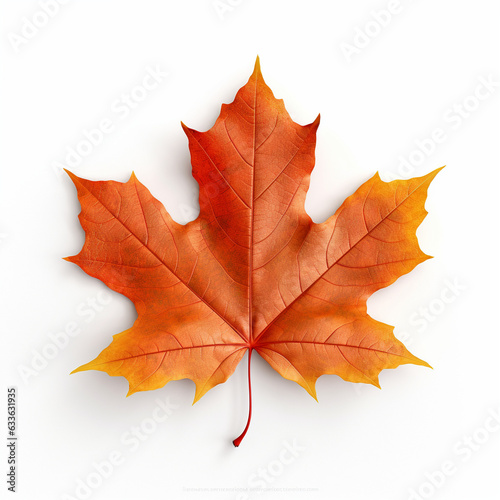 autumn maple leaf, Maple leaf on a white background, AI generator