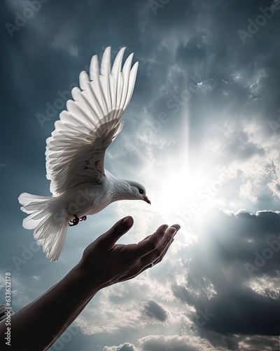 A pair of hands releasing a white dove into the open sky photo