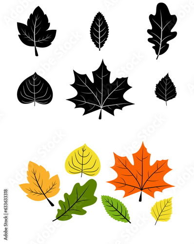 Set of black leaves. Set of colorful autumn leaves. Collection of autumn leaves