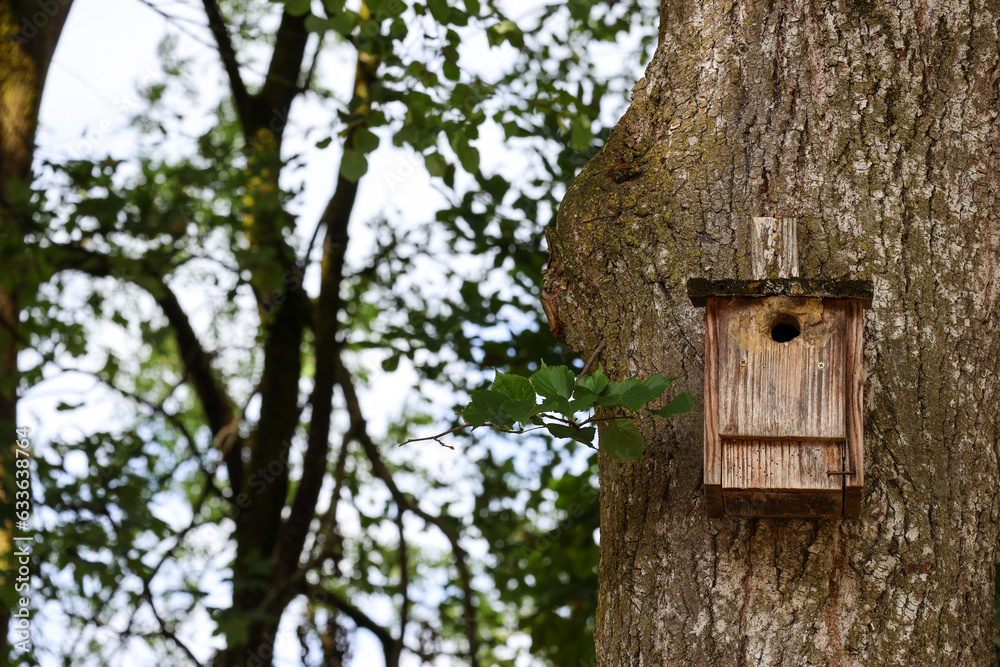 birdhouse on tree