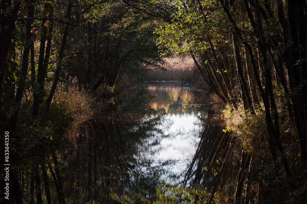 A small river through forests in autumn in Western Finland