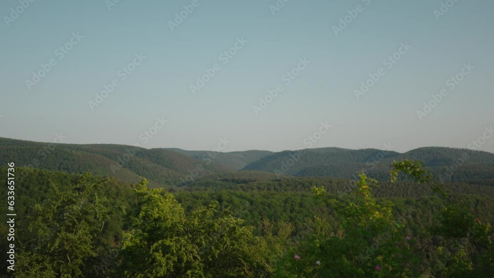Slow zoom in above leaves swaying in wind from the top of trees, mountains fill the horizon Slow zoom in above leaves swaying in wind from the top of trees, mountains fill the horizon