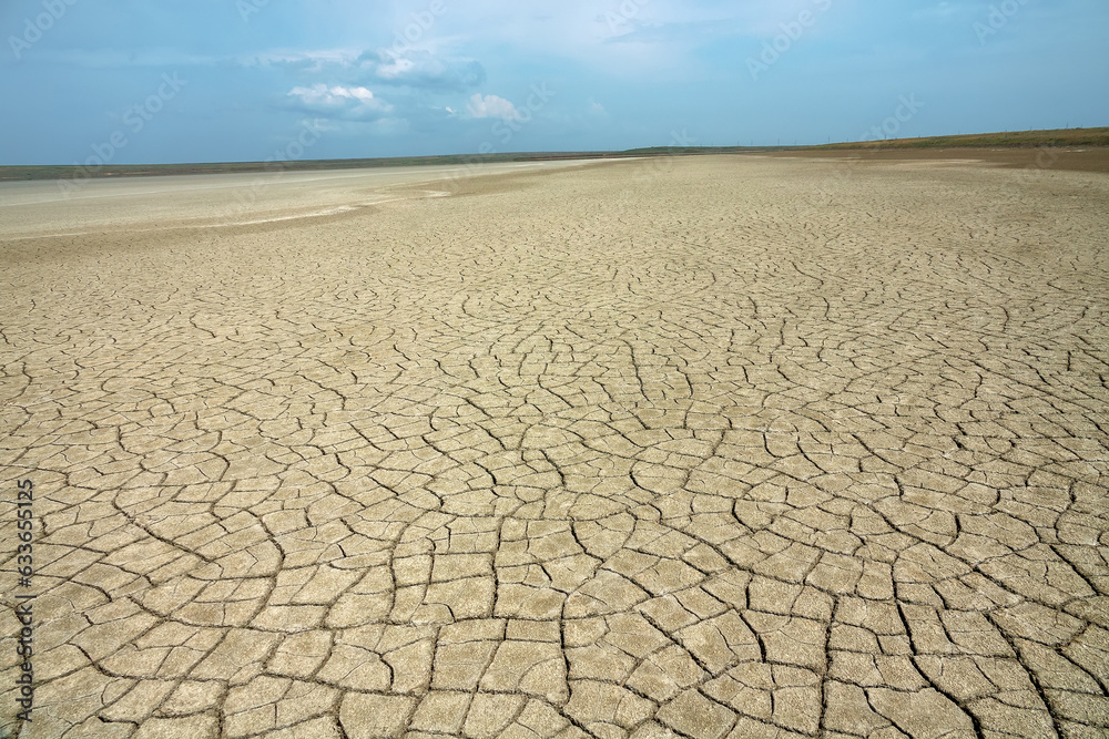 Driedup lake basin (dry lakebed), alkali flat. Semi desert salt