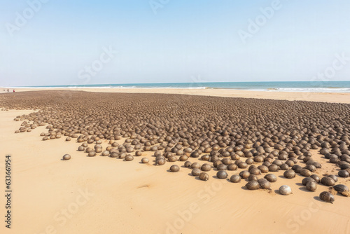 A group of sea turtles makes their way up the beach - Generative AI