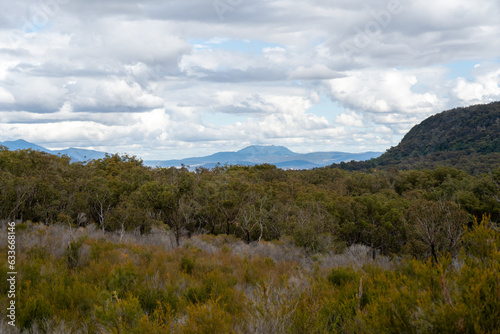 View over natural bushland to distant mountains under a cloudy sky. Mount French National Park, Scenic Ring, Queensland, Australia.
