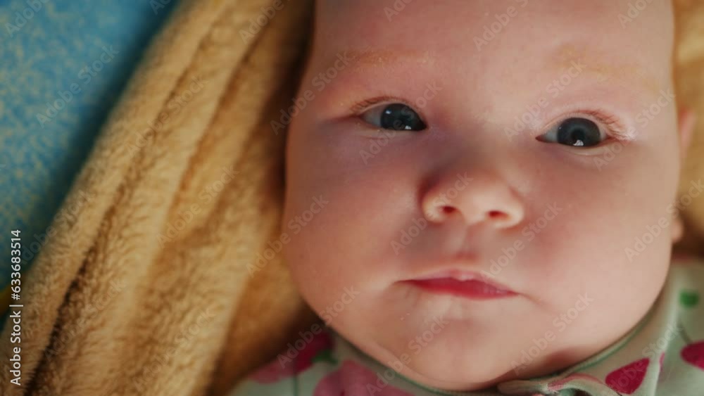 Portrait of cute newborn baby girl. Shallow depth of field. Portrait of cute newborn baby girl. Shallow depth of field.