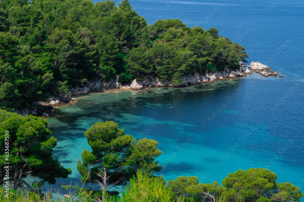 Belightful landscape overlooking a beautiful lagoon, a pine forest and a wild beach
