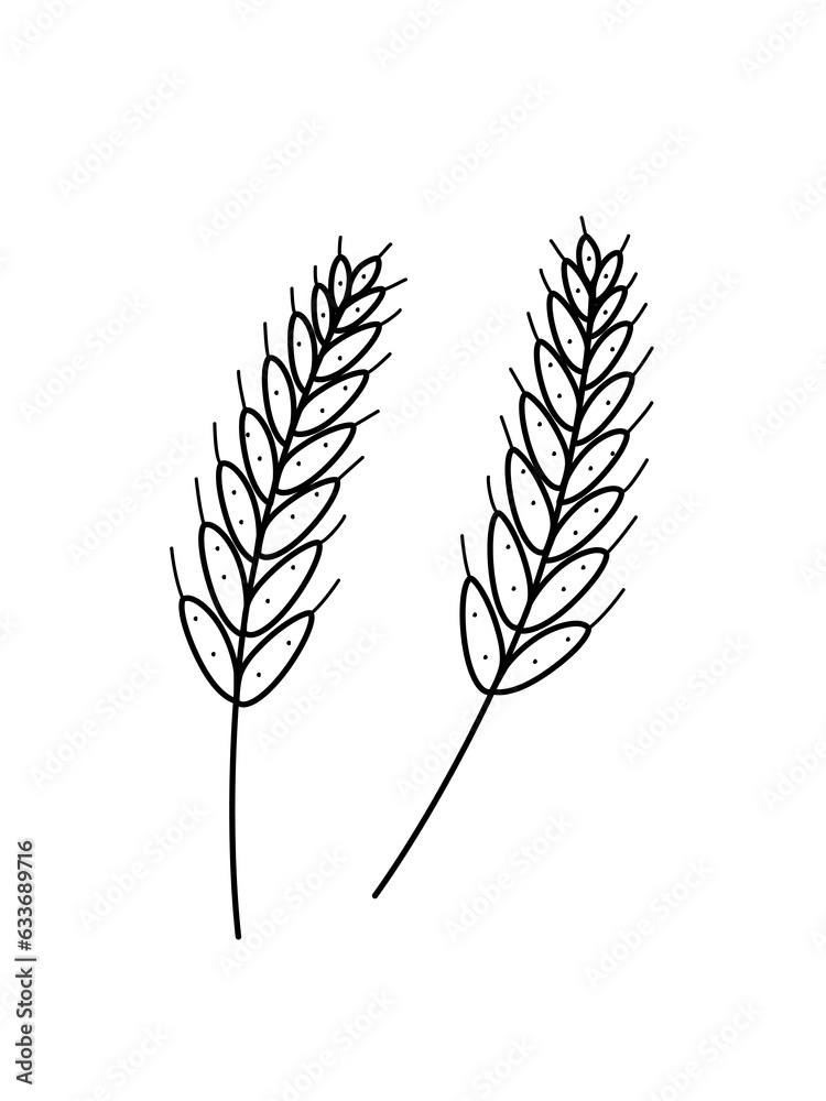Ears of wheat icon doodle style. Vector illustration of a grown grain crop on a white background.