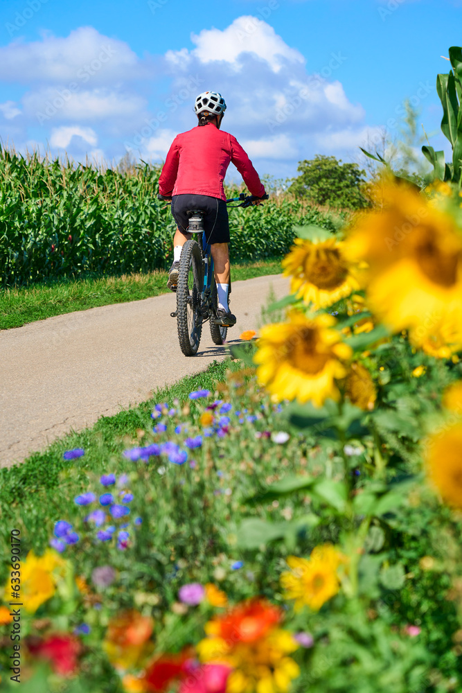 Fototapeta premium nice senior woman cycling with her electric mountain bike in a blooming sunflower field