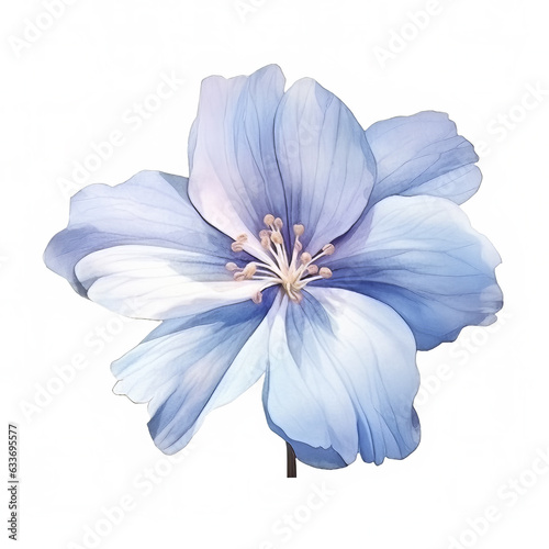 Single Painted Flowers on White Background © bilge