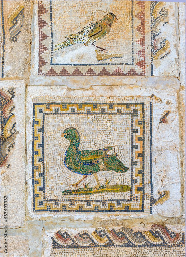Mosaic detail on the floor of the House of the Birds, one of the mansions destined exclusively for the notables of the Roman city of Italica. Located in Santiponce, Seville, Andalusia, Spain.