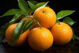 clementines or tangerines freshly harvested from the tree. Healthy eating concept