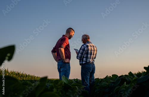 Two farmers standing in a field examining soy crop while using tablet. © Zoran Zeremski