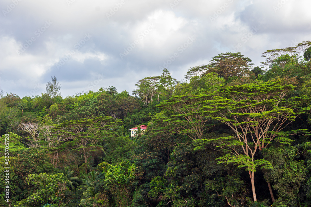 Tropical rainforest landscape in Mahe island, Seychelles