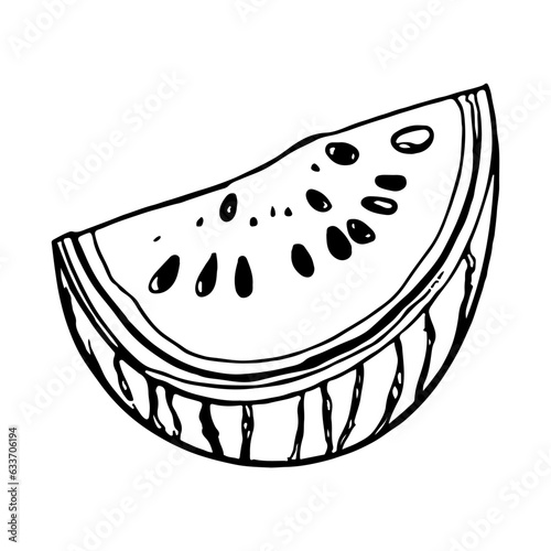Vector illustration. Juicy watermelon silhouette. Coloring.