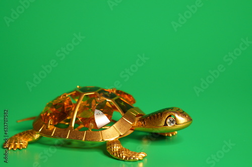 Turtle decorated with decorative ornaments on a green background.