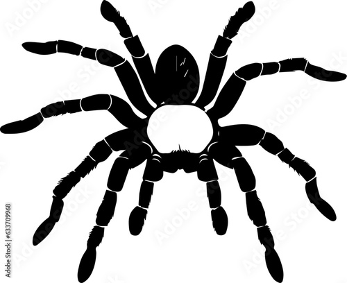 Arizona Blonde Tarantula icon 1