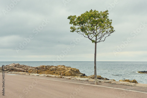 Fotografie Bornholm Landschaft