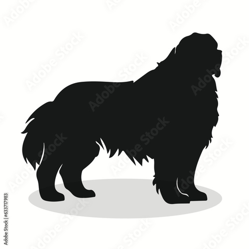 Newfoundland silhouettes and icons. Black flat color simple elegant Newfoundland animal vector and illustration.