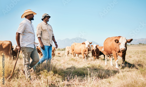 Farmer, men and team, cow and agriculture with livestock, sustainability and agro business in countryside. People in farm collaboration, industry and environment with cattle herd and animals outdoor