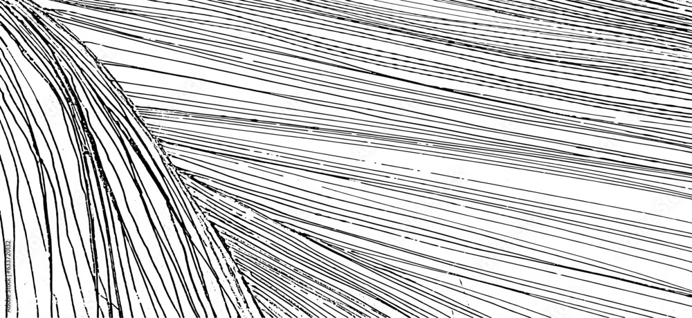 Obraz premium Vector brush sroke texture. Distressed uneven grunge background. Abstract distressed vector illustration. Overlay over any design to create interesting effect and depth. Black isolated on white. EPS10
