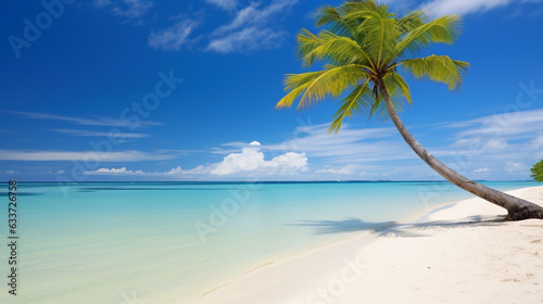 A Tranquil Blue Sea Meeting a Sandy Beach Adorned with Graceful Coconut Trees © Linus