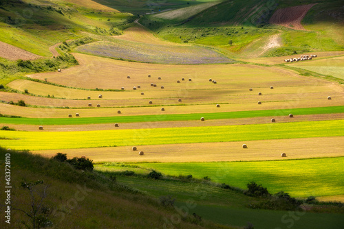 Green agricultural fields in summer in mountain valley © Maresol