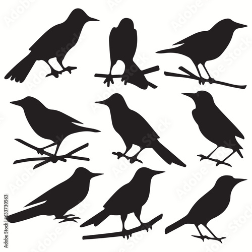 Wallpaper Mural Nightingale silhouettes and icons. Black flat color simple elegant Nightingale animal vector and illustration. Torontodigital.ca