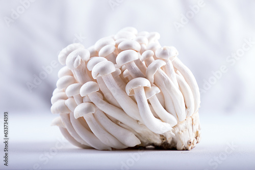Asian edible mushrooms shimidzhi on white backdrop. Front view. © twomeerkats