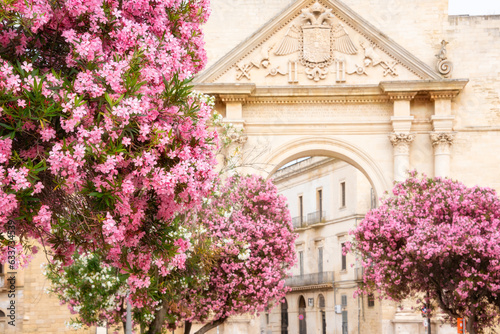 City of Lecce, Italy in summer with many pink flowers photo