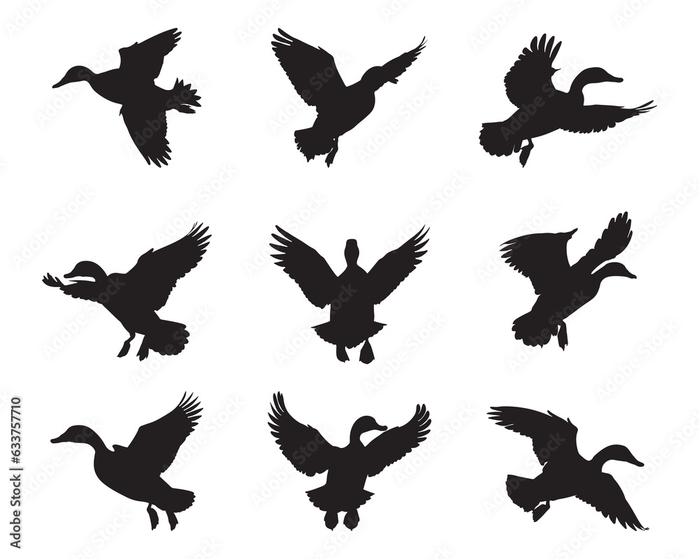 Fototapeta premium Set of silhouette wild ducks- isolated vector images of wild birds