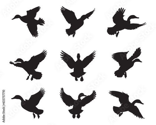 Set of silhouette wild ducks- isolated vector images of wild birds