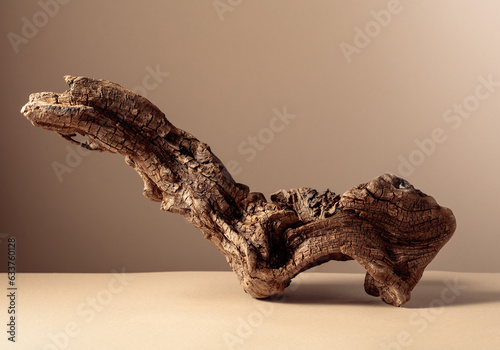 Old dry wooden snag on a beige background. photo