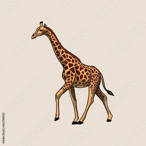 giraffe savannah