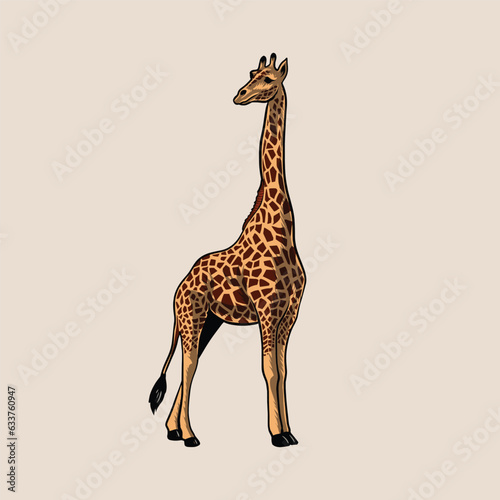 giraffe savannah