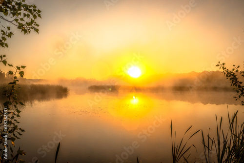 golden sunrise over the river with tree andreeds in mist at summer morning