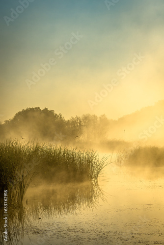 sunrise over the river