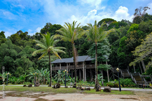 Bild auf Leinwand Palms in the Sarawak cultural village