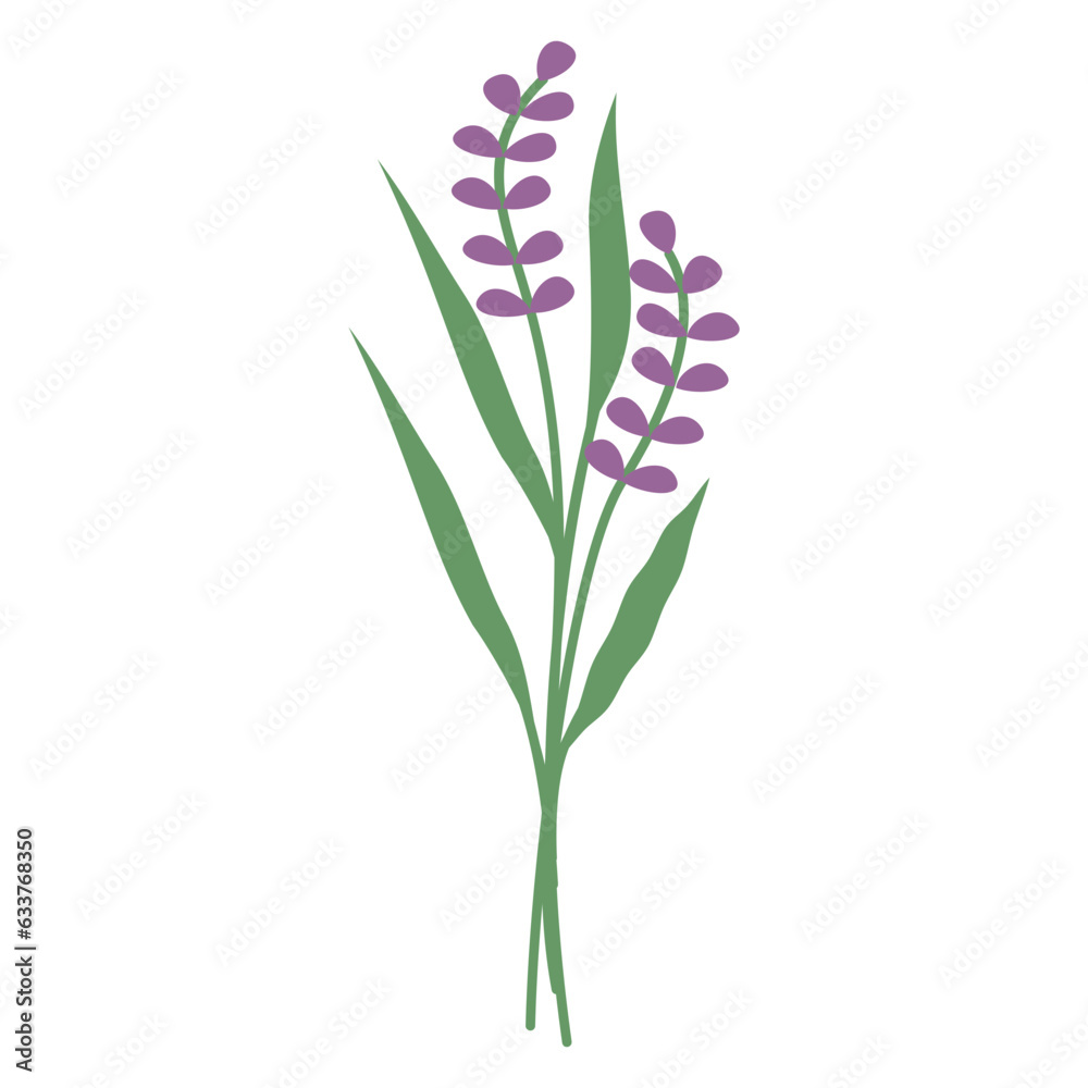 Bouquet Flower Illustration Bouquet Flower Illustration