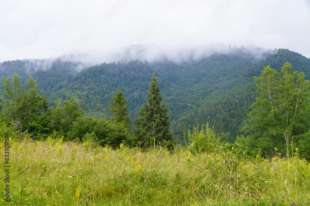 Carpathian mountains after the rain